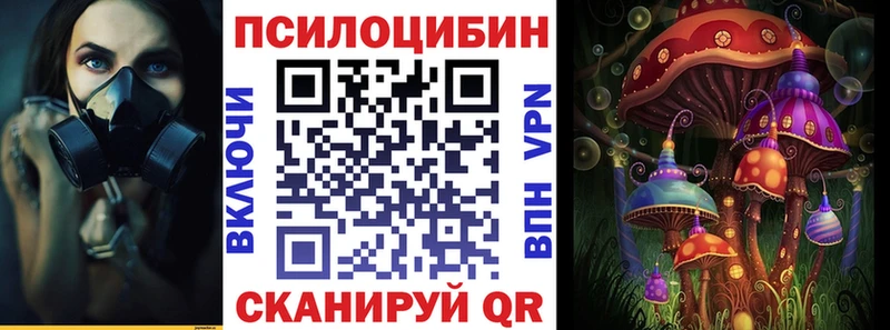 ссылка на мегу рабочий сайт  Питкяранта  Галлюциногенные грибы мицелий 