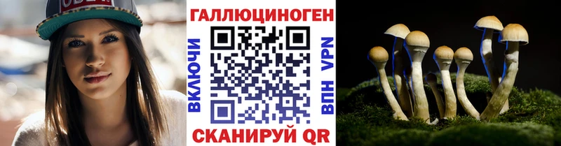 Псилоцибиновые грибы Magic Shrooms Питкяранта